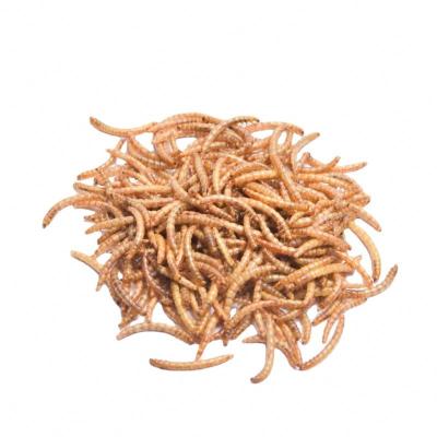 China Viable and Good High Quality Dried Mealworms Export-Grade High Protein Forage Price Per Bird Food for sale