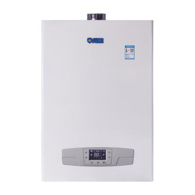 China High Efficient Outdoor Wall Mounted Tankless Hot Water Heater Instant Natural Gas Propane Gas Boiler for Household for sale