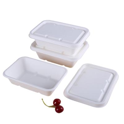 China High Quality White Biodegradable Food Sugar Cane Container Boxes For Food Take Out Packaging for sale