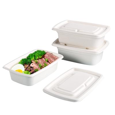 China Biodegradable Food Fiber Pulp Food Tray Container Sugarcane Bagasse Disposable Lunch Box With Lid for sale