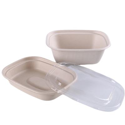 China Bio Degradable Food Wheat Straw Pulp Fast Food Box Packaging Disposable Salad Takeout Box With Clear Lid for sale