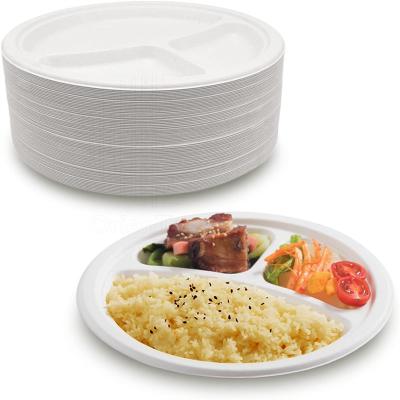 China 9 Inch Disc Disposable Dinner Plate Factory Hot Selling Compostable Gourmet Disposable Dinner Plate for sale