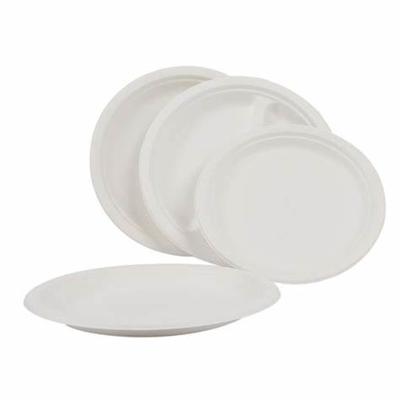 China 2023 Hot selling natural disposable sugarcane bagasse cake dinner plate biodegradable bagass plate for party for sale