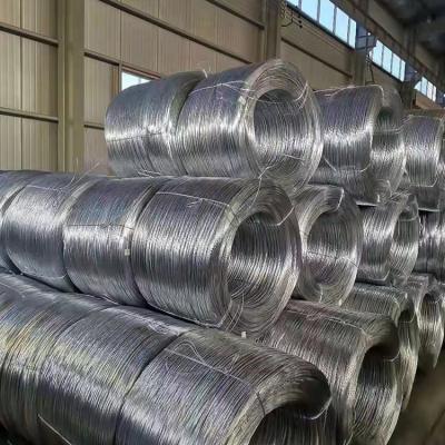 China certificado inoxidable de Rod Coil High Tensile Strength TUV del alambre de acero de 5.5m m en venta