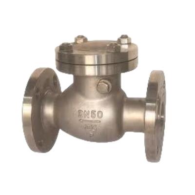 China Industrial Usage Factory ANSI150 DIN Cl150cast/CF8/CF8m/Wcb/Forged Non-Return Lift Swing Flanged Stainless Steel Check Valve for sale