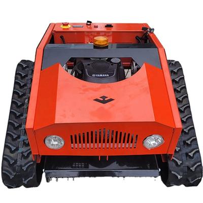 China Good Quality 4-Stroke Agriculture Mini Grass Cutter Machine Cordless Mini RC Lawn Mowers Lawn Mower For Sale for sale