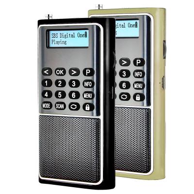 China Dewant L-338DAB Pocket Portable Digital DAB Auto FM Radio for sale