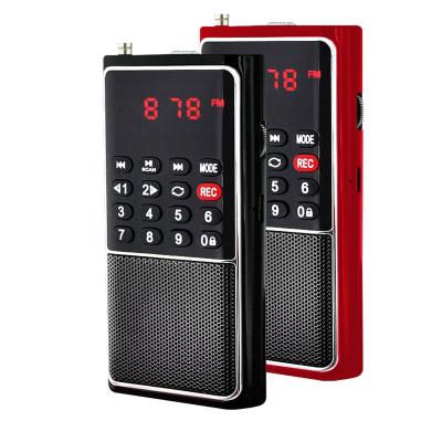 China Dewant L-338 PORTABLE FM Portable Radio with MP3 Player Voice Recorder Te koop