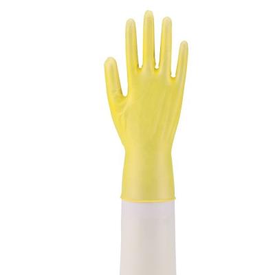 China Comfortable Kitchen Clearning Kitchen Washing FILTA Powder Free Stretch Vinyl Household Gloves for sale