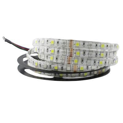 China Hotel Radio Led Strip Light 24v RGB LED Strip Cob Flexible Dream Color Led Strip Lights for sale