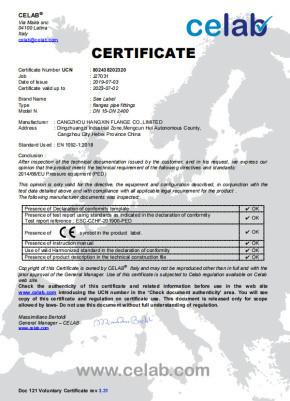  - Cangzhou Hangxin Flange Co.,Limited