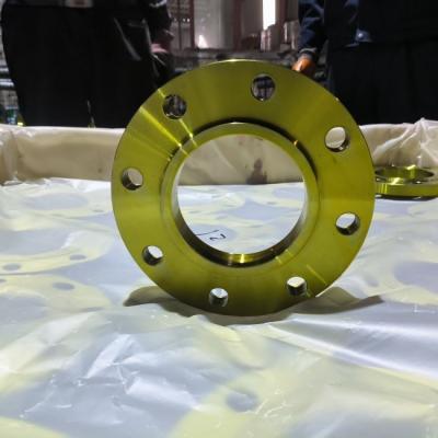 China DIN ANSI 150LB PN16 Stainless Steel Forged Flange Rust Proof Oil, for sale