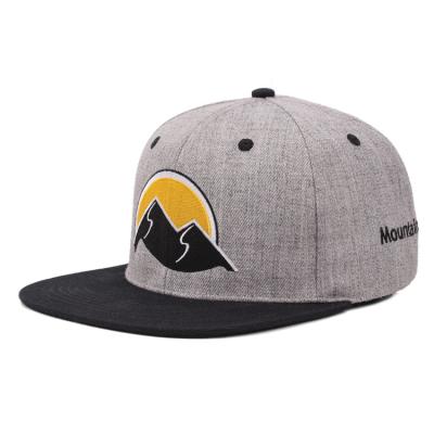 China COMMON Hip Hop Adjustable Hat Cap, Customize Embroidery Logo Hat Snapback, Flat Bill Snapback Cap for sale