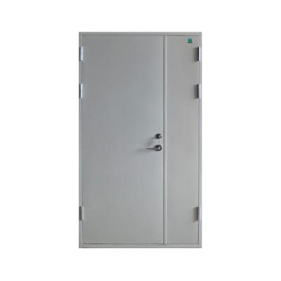 China High quality modern luxury design single low double exterior security steel door price for sale