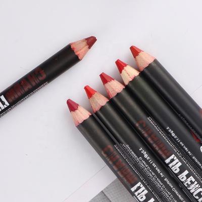 China Private Label OEM Waterproof Natural Dark Vegan Matte Lipstick With Lipliner for sale