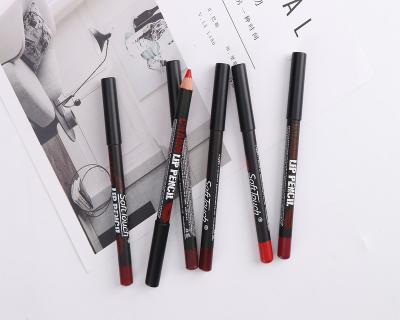 China Private Label Vegan Waterproof Custom High Quality Waterproof Lip Cream Liner Dark Brown for sale