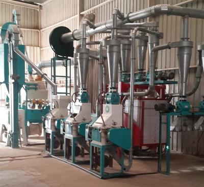 China Factory 22 Ton Complete Set Wheat Flour Milling Machine for sale