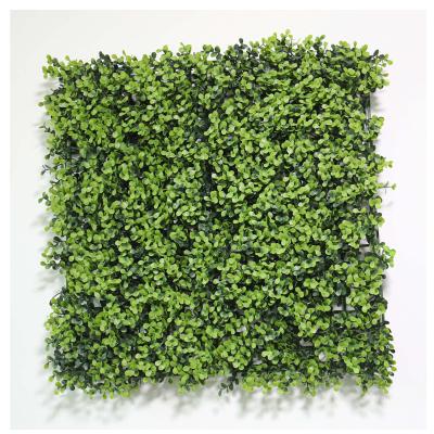 China Fashional Artificial Plants Grass 2023 Wall Grass Greenery Wall Panel Plant Wall Decor Colorful Artificial Fake Hedge Plant Vertical for sale