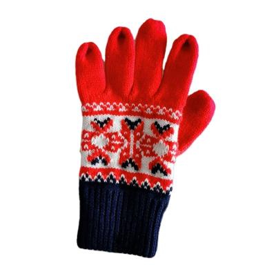 China Classic Printing Your Own Design Autumn Embroidery Jacquard Pattern Gloves Knitted Winter Gloves for sale