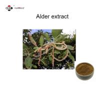 China 10:1 Food-grade Light brown powder Alder extract for sale
