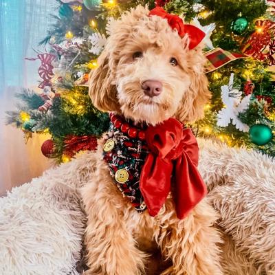 China Wholesale Custom Stocked Pet Gift The Merry and Bright Christmas Bandana for sale