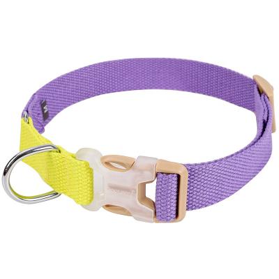 China 2021 Custom Padded Dog Collar For Small And Large Dogs Pet Collars For Dogs for sale