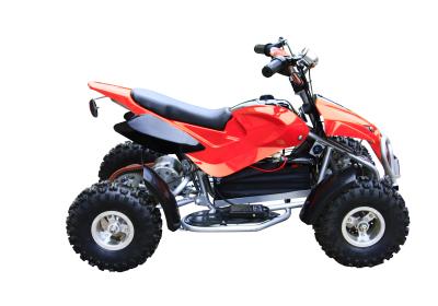 Chine Atv électrique de quadruple de mini voitures à quatre roues pour la jeunesse, transmission 500W à chaînes à vendre