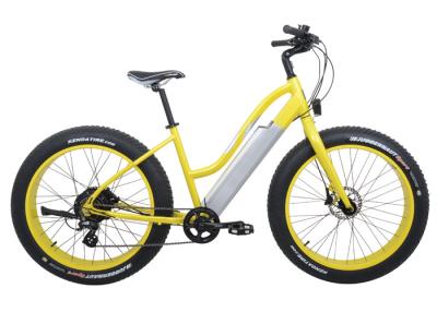 China Fahrrad Damen-Style Fastest MTB Electric, faltendes elektrisches Rad des Fahrrad-2 zu verkaufen