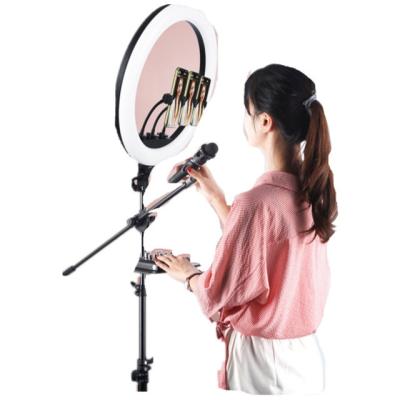 Cina high quality Live Stream full Kits equipment with wireless microphone ring fill lamp webcam and portable green display with CE in vendita