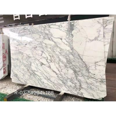 China Carrara White Marble Rabescato Msi Arabescato Orobico Modern White Marble Slab With Gray Vein For House for sale