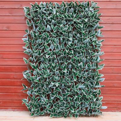 China New Style Easily Assembled Plant Wall Decoration Green Peanut Leaves Cipher Artificial Flowers Plastic Leaf Fence Factory Wholesale for sale