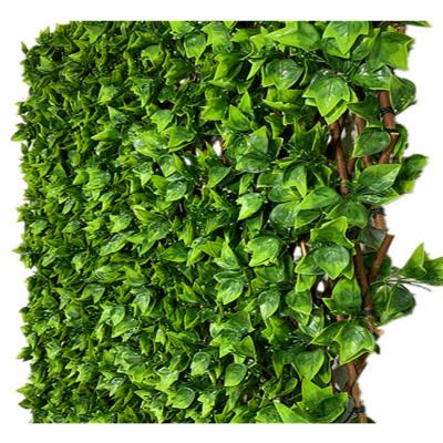 China Easily Assembled Artificial Expanding Boxwood Ficus Leaf Seed-Bearing Ficus Leaf Growing Willow Trellis for sale