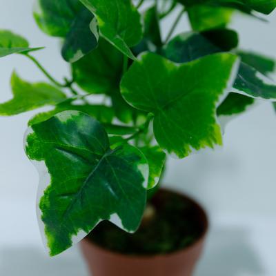 China Easily Assembled Artificial Leaf Green Plants Shrubs Beautiful Concrete Bonsai Table Top Pots Small For Indoor Outdoor Artificial Hanging Plants for sale