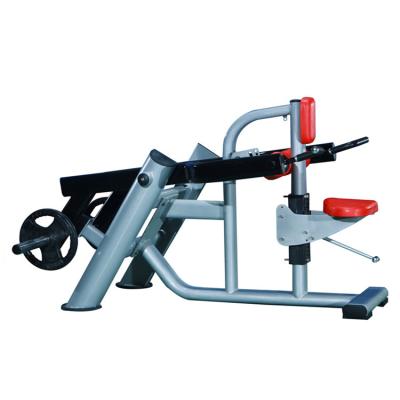 China Universal China Gym Equipment Fitness Body Building Equipment Seated Dip for sale