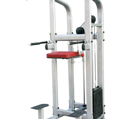 China Universal ProfessionalLife For Gym Fitness Gym Equipment Assisted Chin Dip Gym Equipment for sale