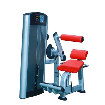 China 2022 Hot Selling Equipment Comercial Gym Equipment Back Extension Fitness 1500*1200*1670mm for sale