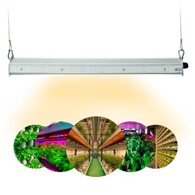 China Double Sided Best 60w 90w 120w LED Vertical Agricultural Light Vegetable Plant Plant Growing Light ip65 for sale