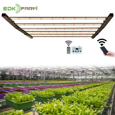 China RJ Port Wire Dimming / Button Dimming Best Custom Full Spectrum 5*5 480w 600w 800w Led Grow Light For Greenhouse for sale