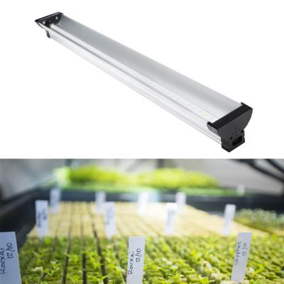 China Seed starting new products 48W full spectrum hydroponics LED grow light for indoor plants veg and flower fruit for sale