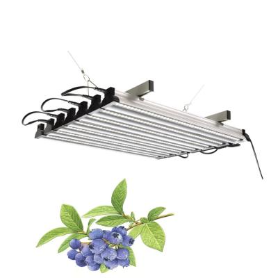 China Seed Seeding Toplighting Greenhouse Plant Grow LED Grow Lights For Indoor Plant for sale