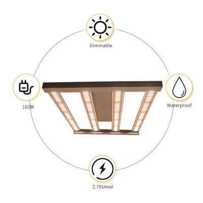 China Seed Starting High Power 150W HO Greenhouse Daylight Lamp 1000W Led Grow Light for sale