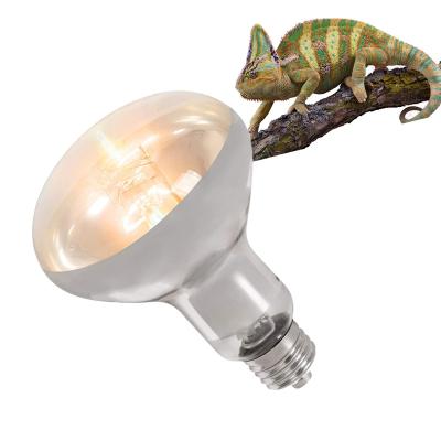 China REPTILES Specialty Sun Lamp Provided Mercury Vapor UVA UVB Reptile Light Led Lamp For Reptiles for sale