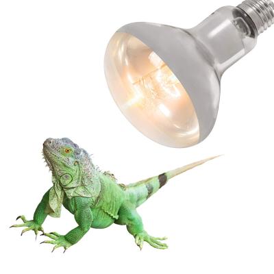 China NEW REPTILES Fashion Pet Product 75W 100W 125W 160W Mercury Vapor Reptile UVB Lamp Bulb for sale