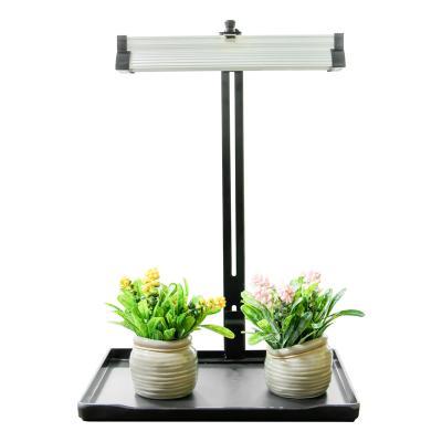 China Adjustable Height and Brightness Plant Starter Succulents Growing Grow Lights Stand with Tray for Plants for sale