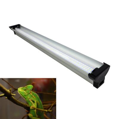 China High Sustainable UVB Heat Output Daylight UVB Reptile Lamp for sale