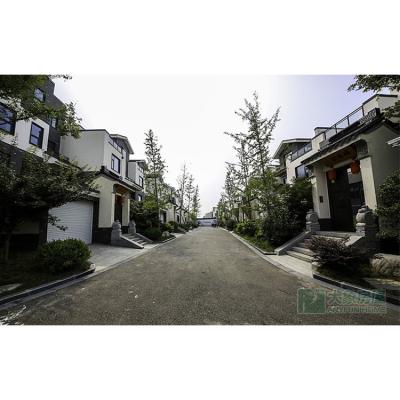 China Mountainview Mansion Townhouse Customized Steel Frame Mountainview Mansion Townhouse With Basement for sale