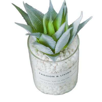 China Potted Minimalist Artificial Succulent For Decor Garden &Office With Glass Jar Factory Wholesale Artificial Bonsai Trees for sale