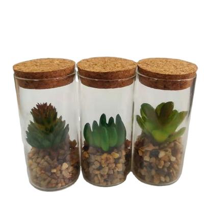 China Factory Wholesale Minimalist Artificial Mini Bonsai Artificial Succulent Potted For Home&Office Decor With Glass Pot for sale