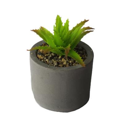 China Hot Selling Succulents New Design Minimalist Artificial Succulent Wholesale Selections for sale