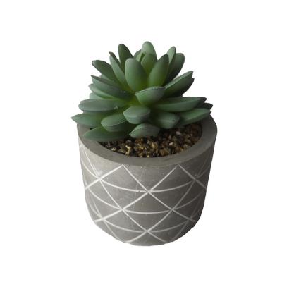 China Real Touch Minimalist Faux Succulents Artificial Succulents Picks for sale